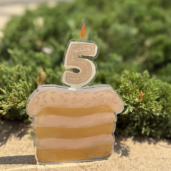 Baby Milestone and Birthday Acrylic Cake Set