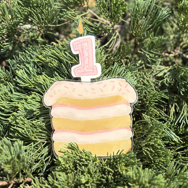 Baby Milestone and Birthday Acrylic Cake Set