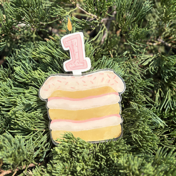 Baby Milestone and Birthday Acrylic Cake Set