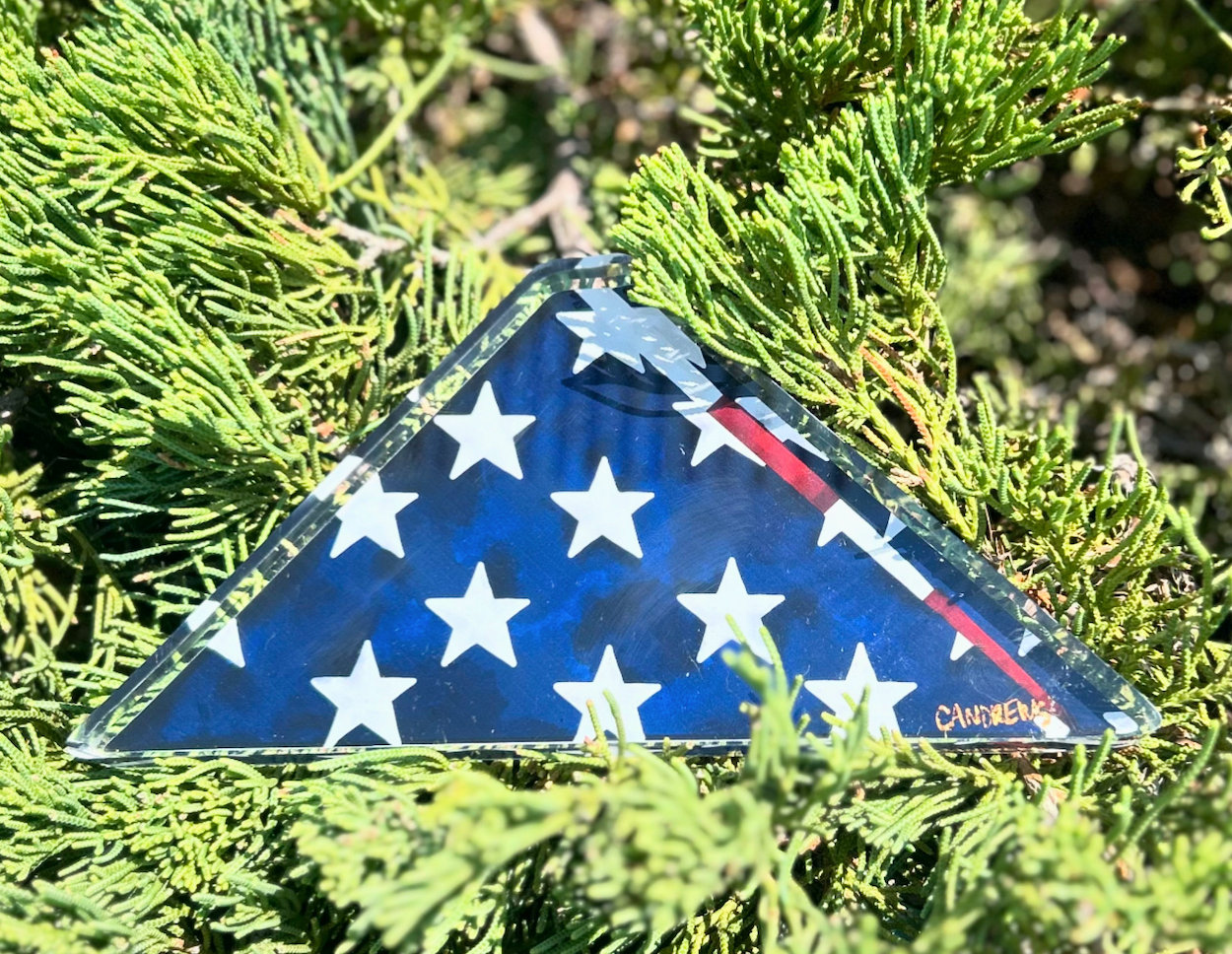 American Hero Military Service member Military Spouse Folded Flag Veteran's Day 