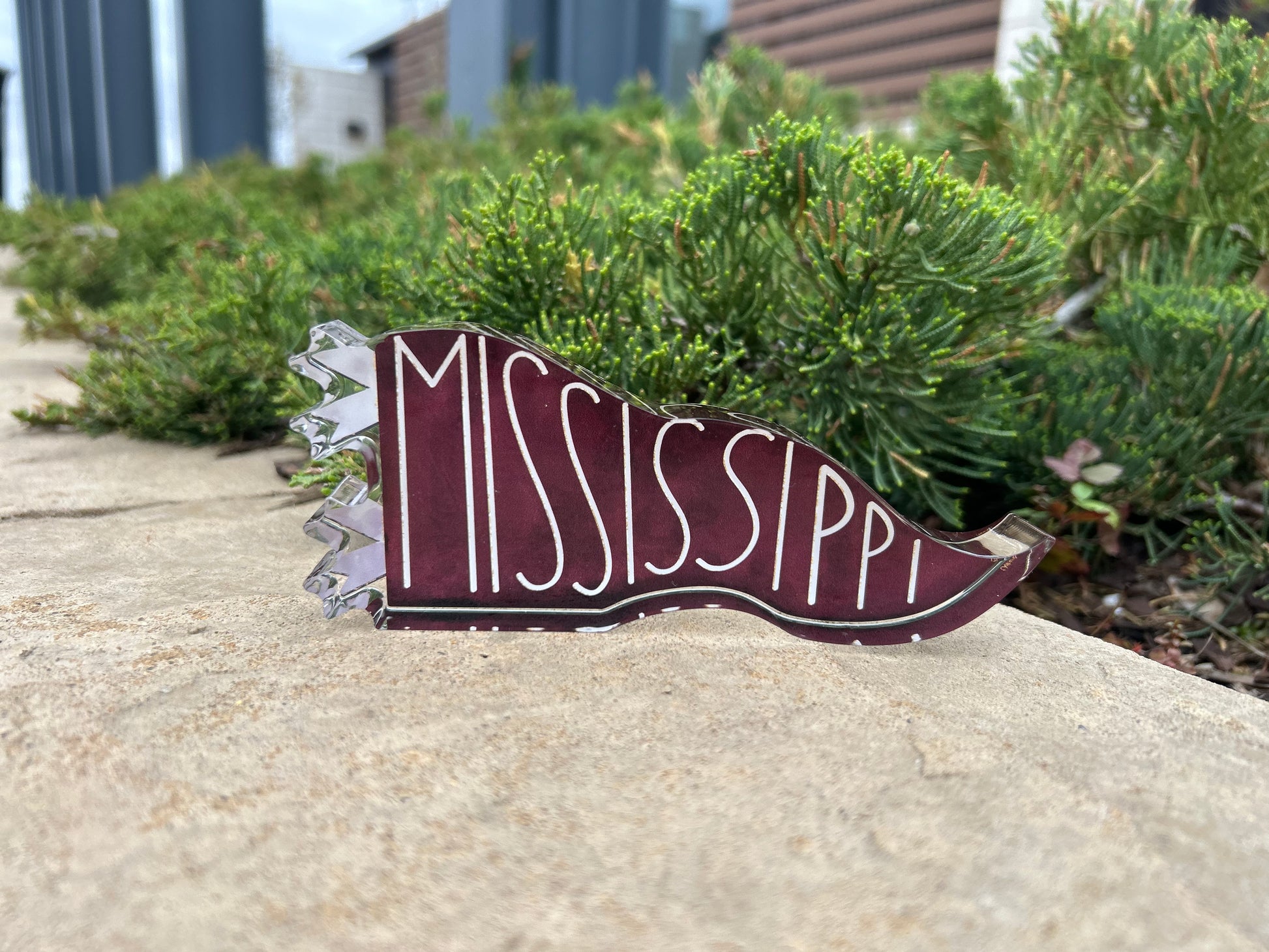 Mississippi State Hail State MSU Bulldog Flag